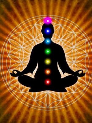 shalvik-mantra-rahasya (